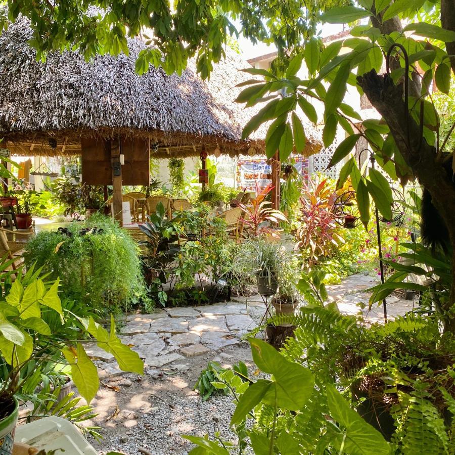 Hostal Casa Huasteca Ciudad Valles Zewnętrze zdjęcie