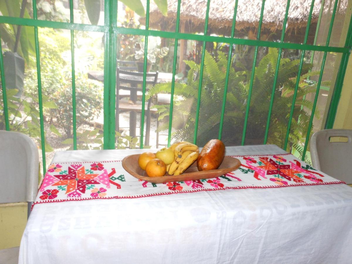 Hostal Casa Huasteca Ciudad Valles Zewnętrze zdjęcie