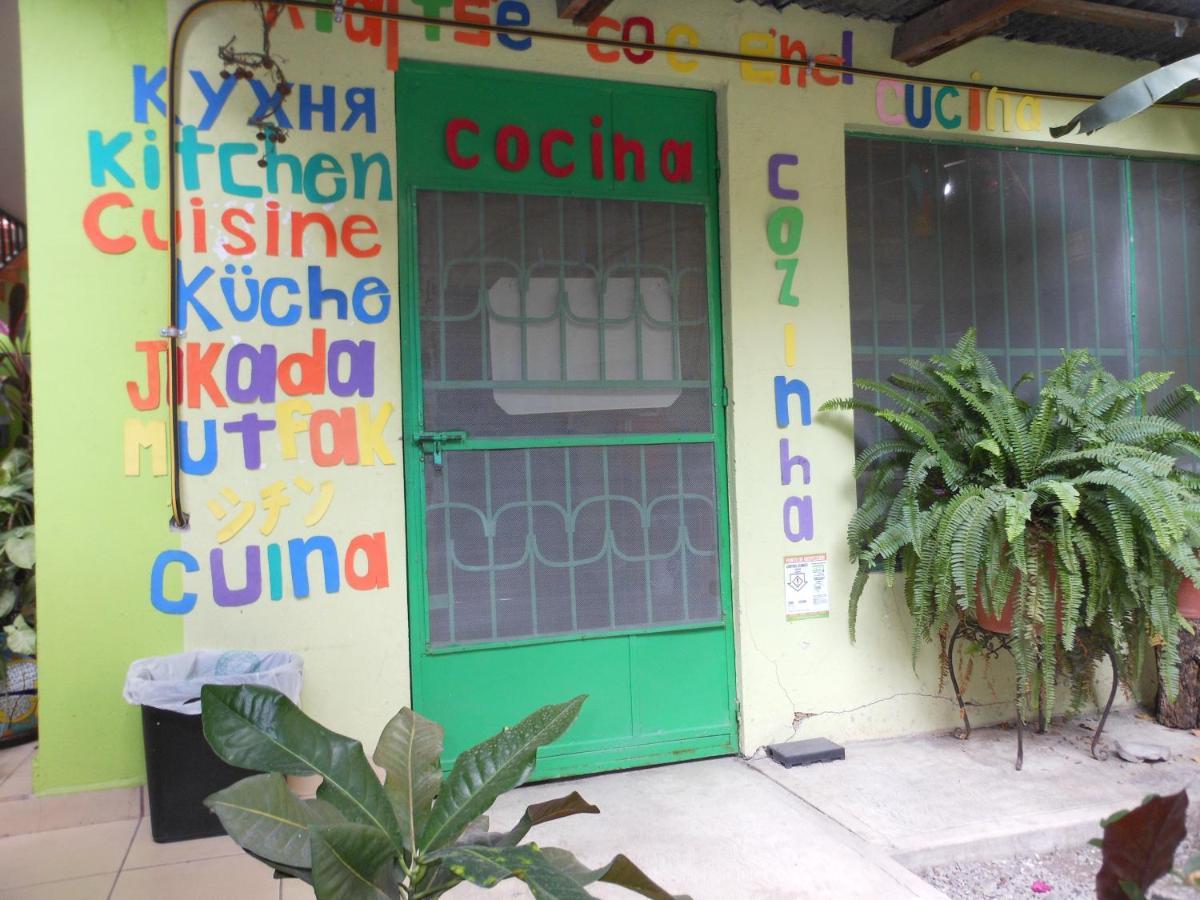 Hostal Casa Huasteca Ciudad Valles Zewnętrze zdjęcie