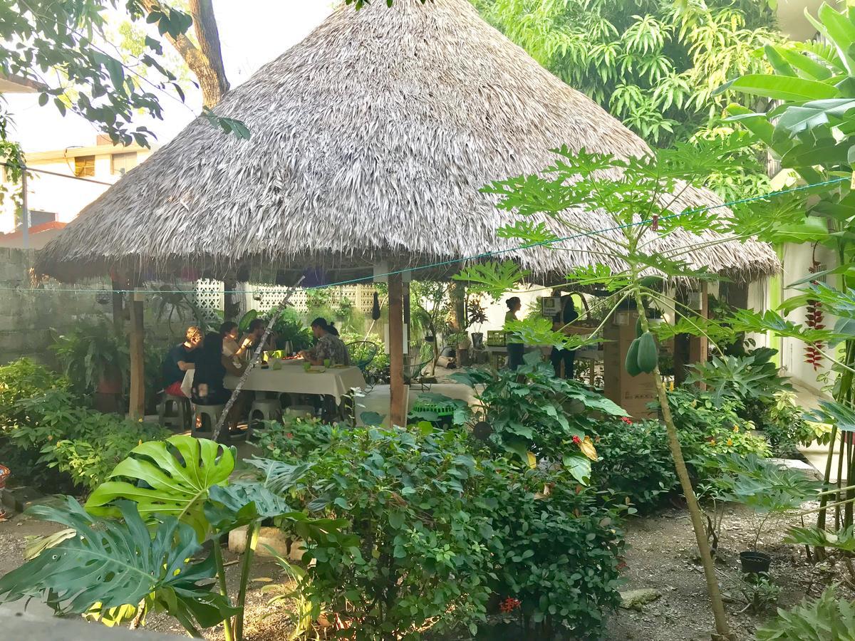 Hostal Casa Huasteca Ciudad Valles Zewnętrze zdjęcie